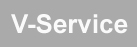 logo v servis