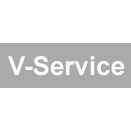 logo v servis 1